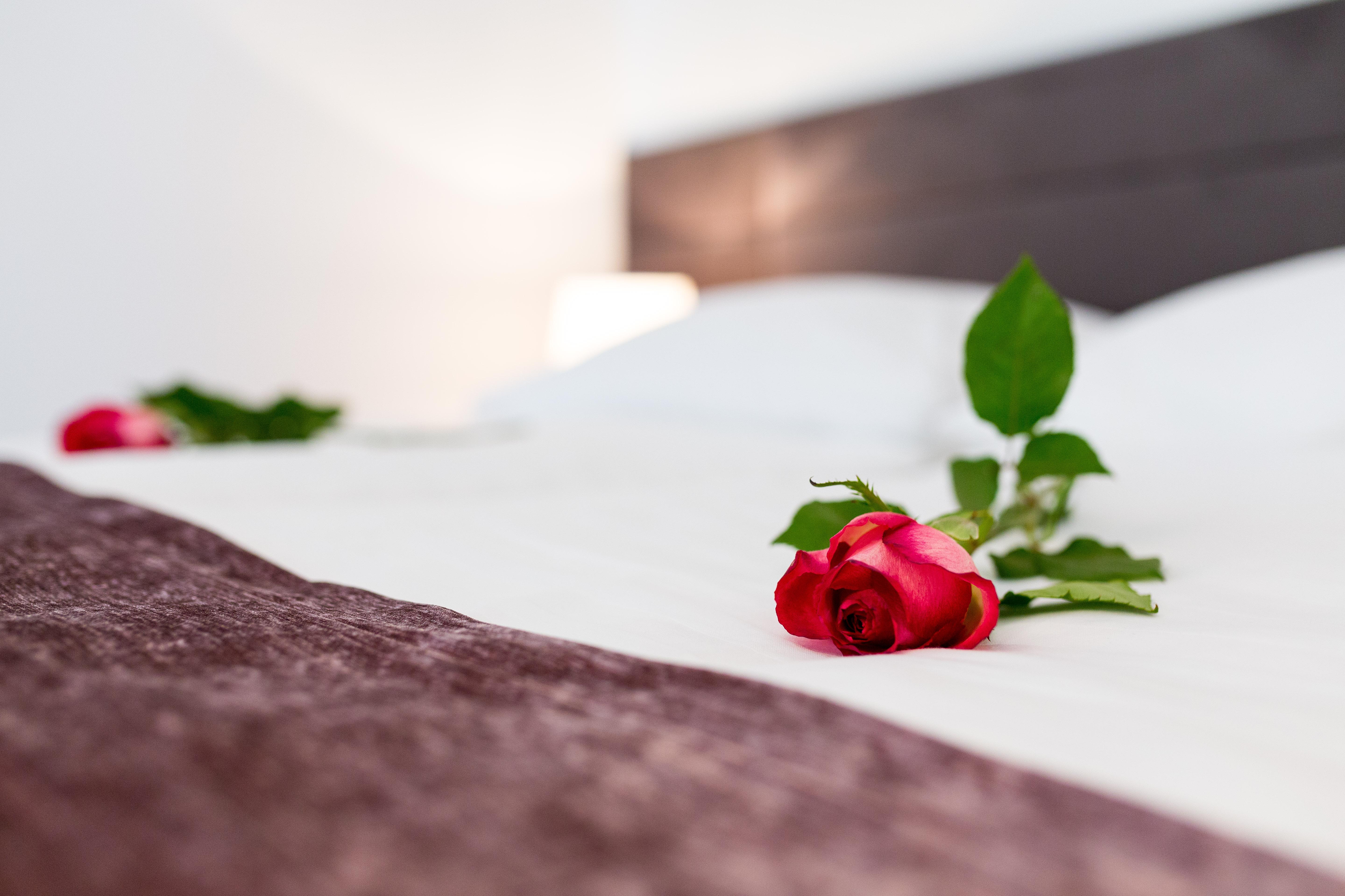 Starlight Luxury Gjestgiverier